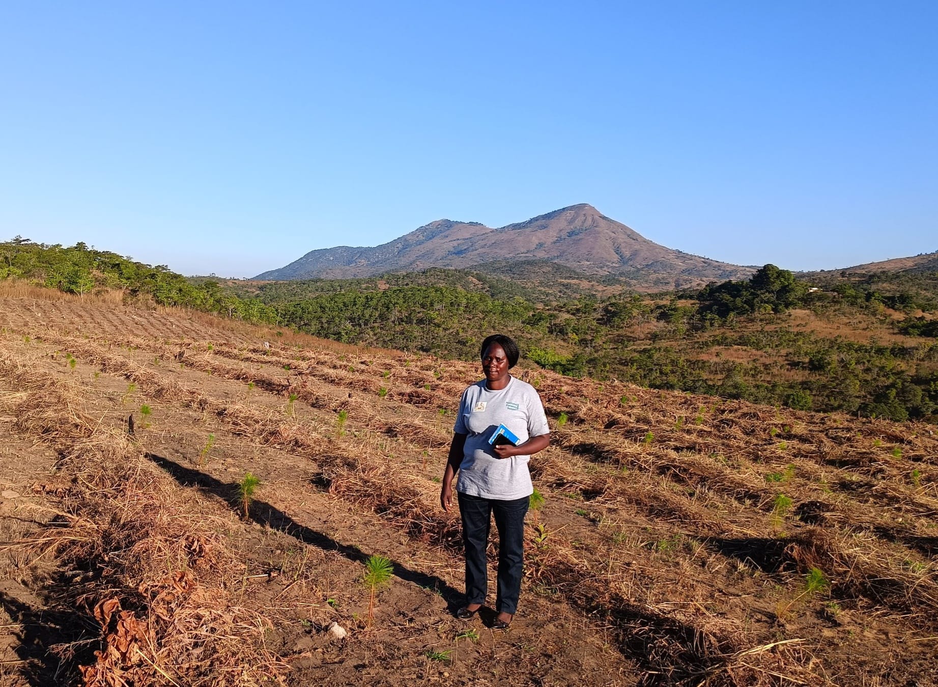 DoF, MWASIP tours Dzonzi-mvai Plantation