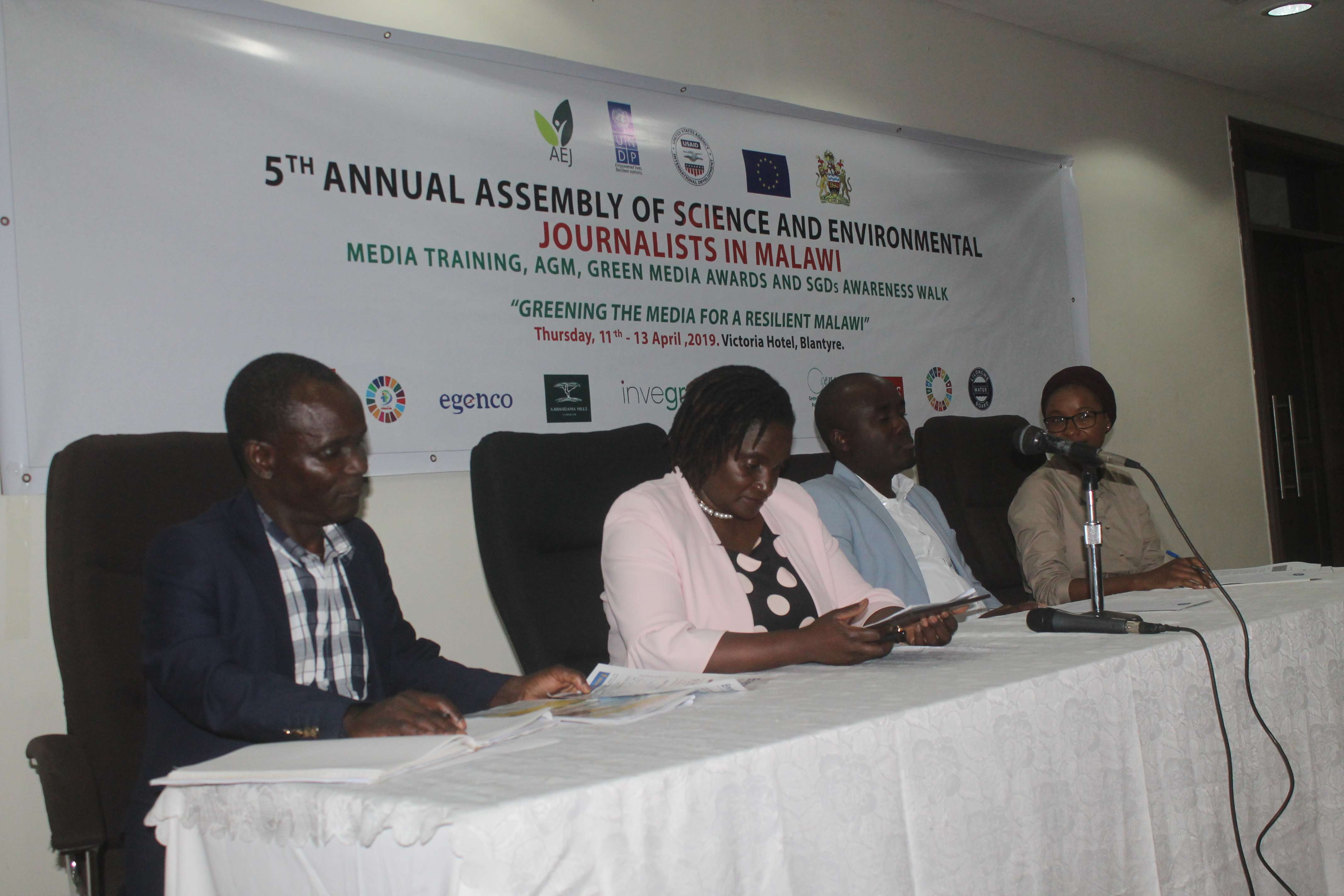 Environmentalists Adore Forests in Resilience Building