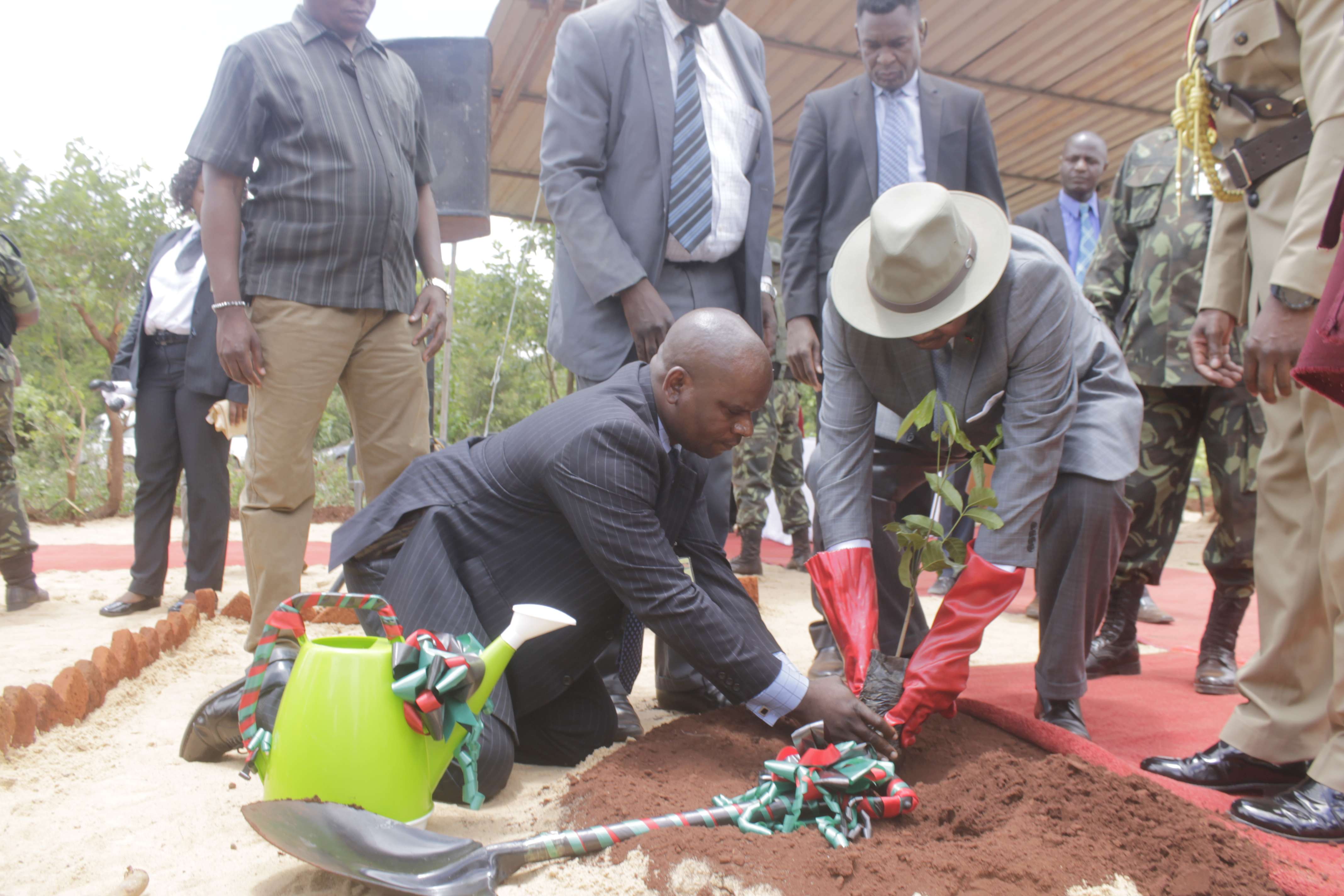 2018-2019 Tree Planting Launch