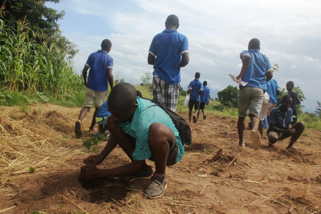 Salima Takes Afforestation Drive to Schools